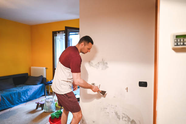 Best Mold Remediation  in Mansfield, TX