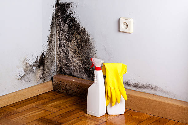 Crawl Space Mold Removal in Mansfield, TX